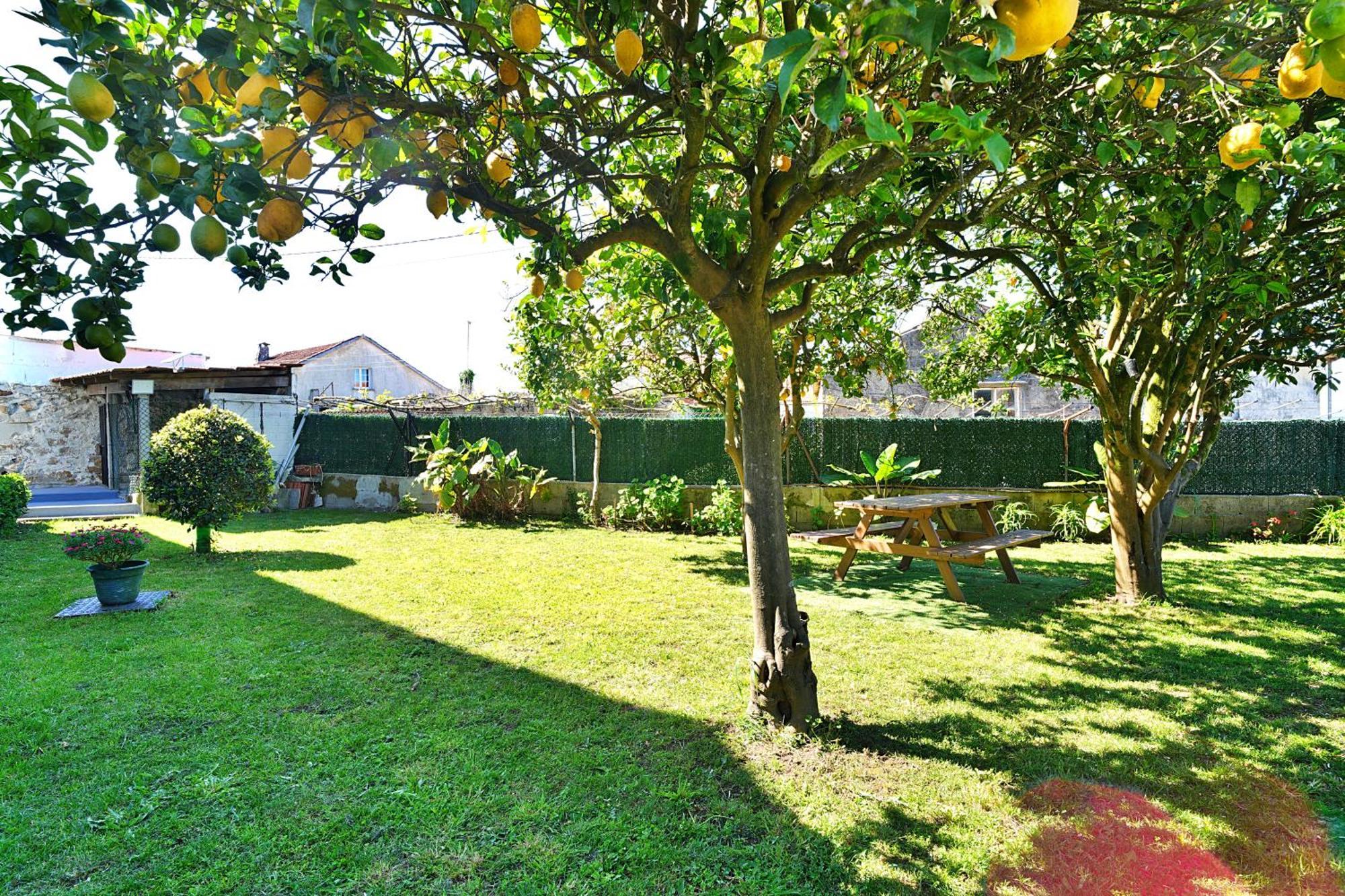 Casa Con Jardin En Vilanova De Arousa Pontevedra Kültér fotó